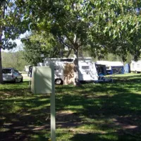 BIG4 Nelligen Holiday Park