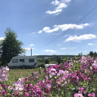 campingplatz-grosseichen-mckegrosseichen-3ljyj