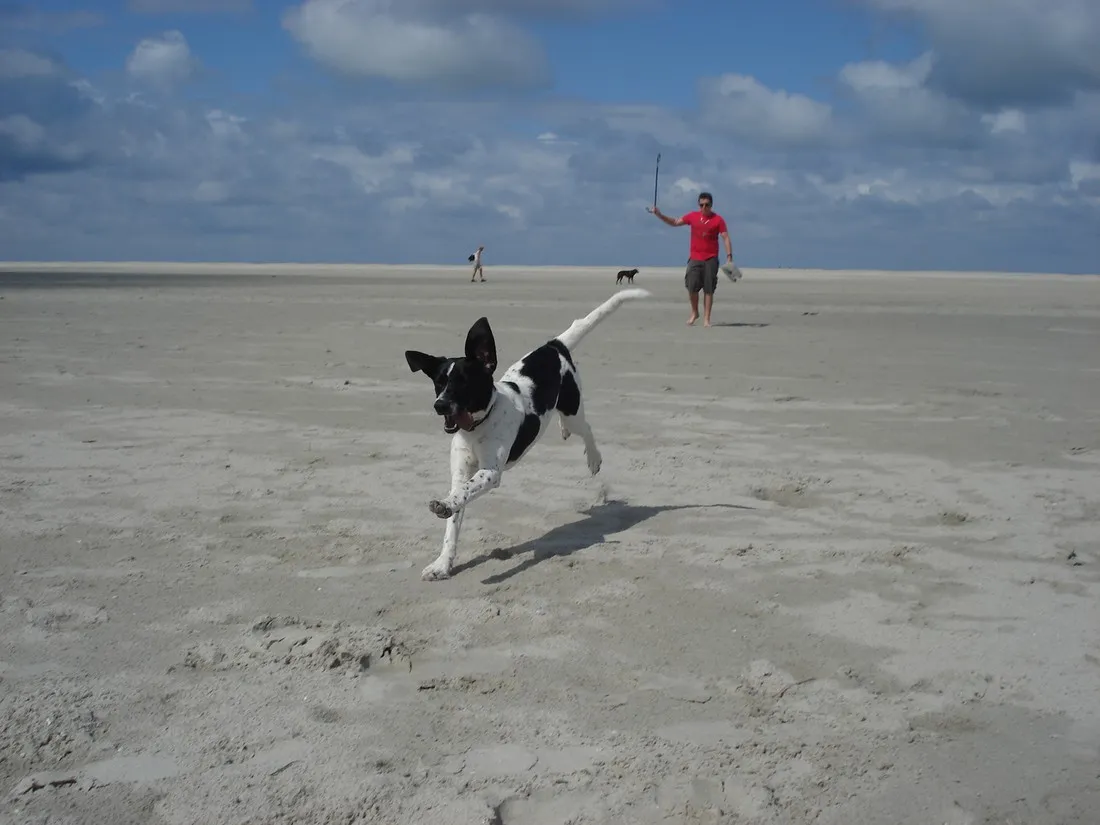 camping-roosdunen-ameland-ballum-5wh3h