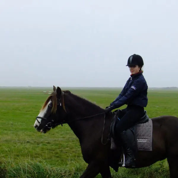 camping-roosdunen-ameland-ballum-fgv77