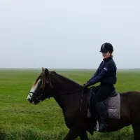 camping-roosdunen-ameland-ballum-fgv77