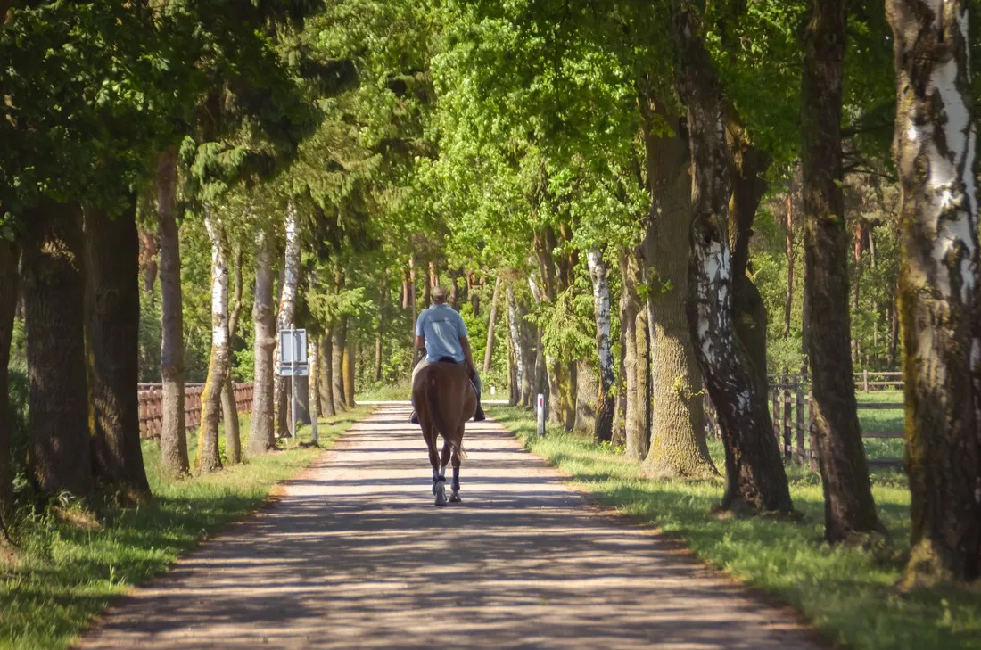 bovensbos-helden-c6gfx