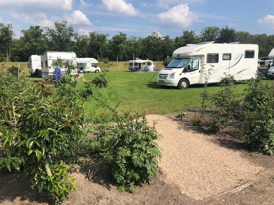 camping-aan-de-groene-papegaai-hoogerheide-vpmxa