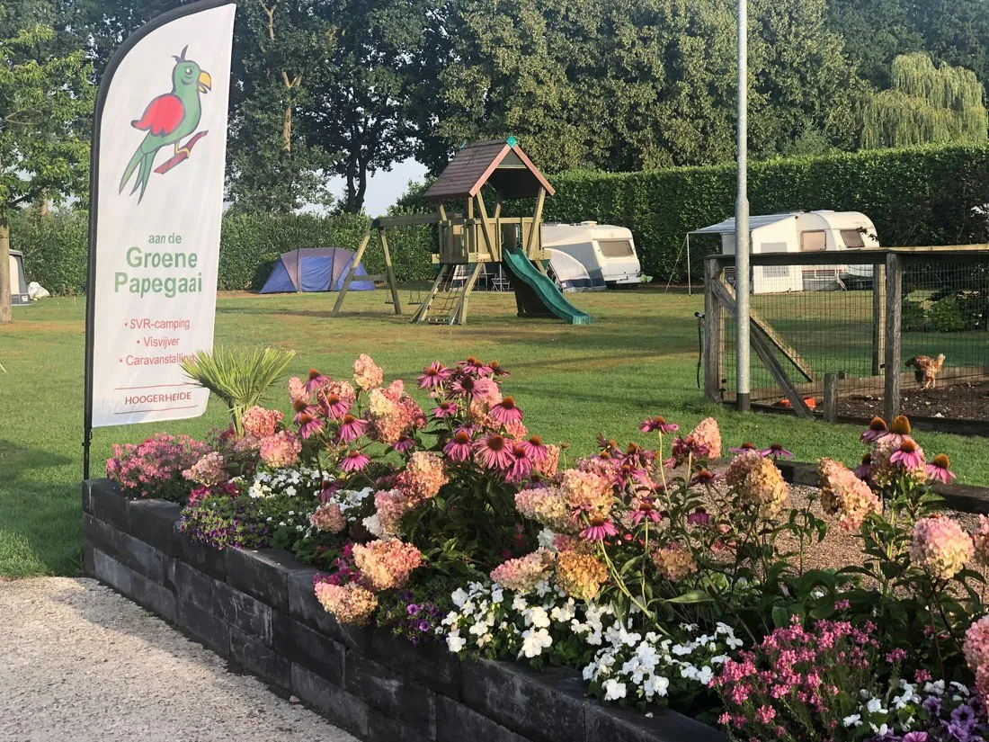 camping-aan-de-groene-papegaai-hoogerheide-ww5v3