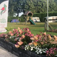 camping-aan-de-groene-papegaai-hoogerheide-ww5v3