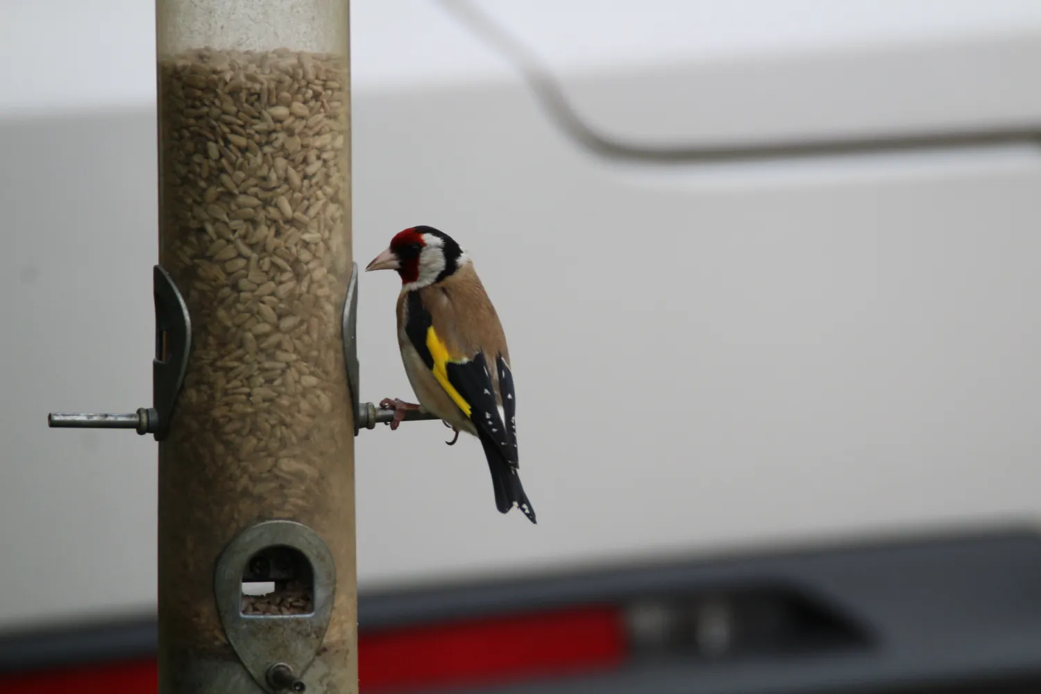 greendale-farm-caravan-and-camping-park-oakham-vwxhk