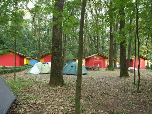 camping-casa-alba-bukarest-qhrj7