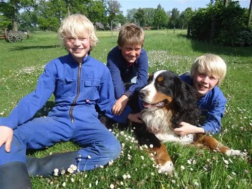boerderij-camping-de-wezel-diepenheim-lmwfq