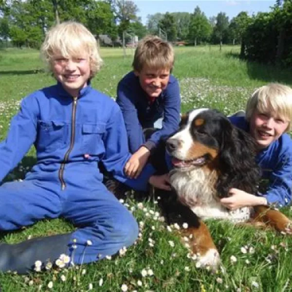 boerderij-camping-de-wezel-diepenheim-lmwfq