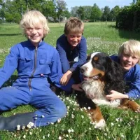 boerderij-camping-de-wezel-diepenheim-lmwfq