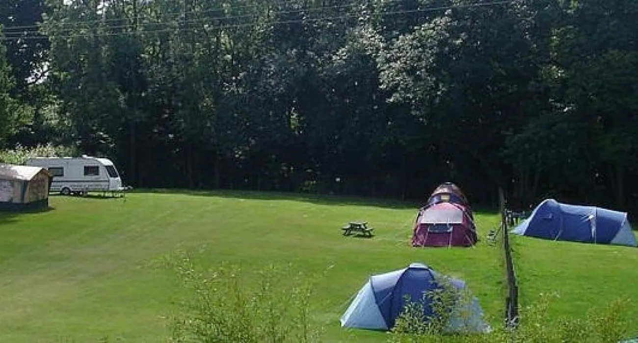 cedar-gables-camping-flimwell-ac5ny