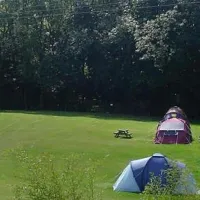 cedar-gables-camping-flimwell-ac5ny