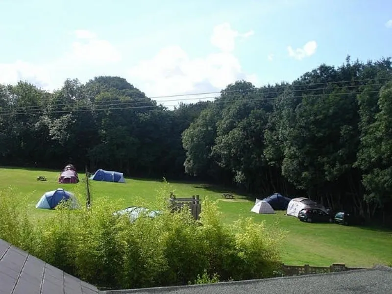 cedar-gables-camping-flimwell-jjomm