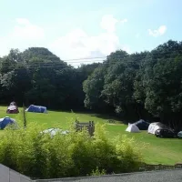 cedar-gables-camping-flimwell-jjomm