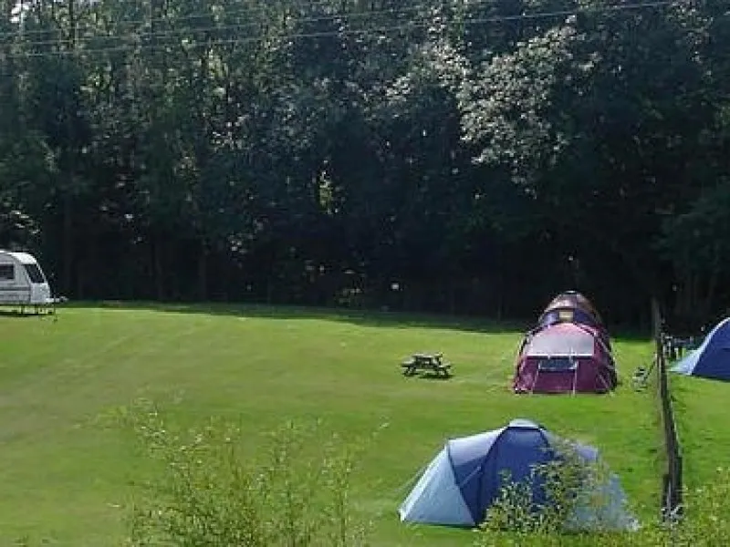 cedar-gables-camping-flimwell-me9tp