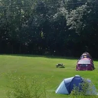 cedar-gables-camping-flimwell-me9tp