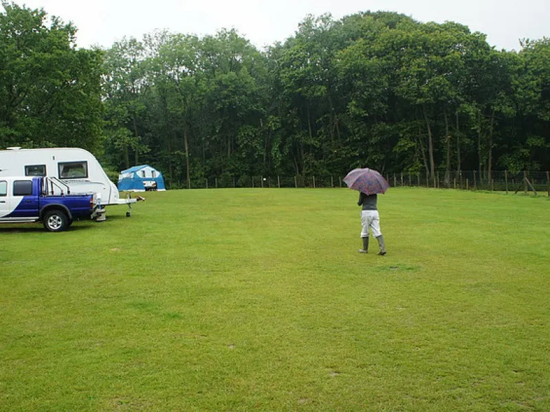 cedar-gables-camping-flimwell-mnyyf