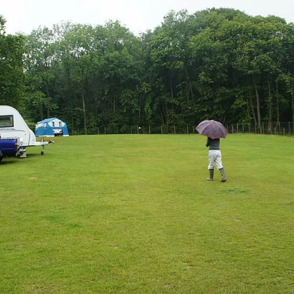 cedar-gables-camping-flimwell-mnyyf