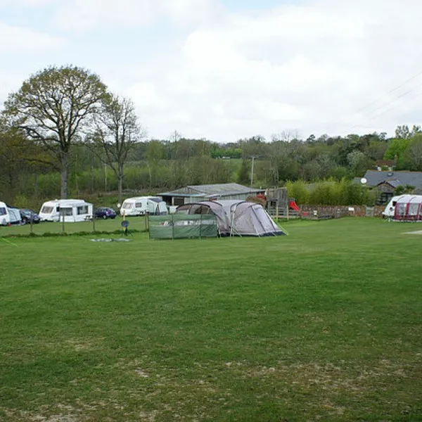 cedar-gables-camping-flimwell-qwr47