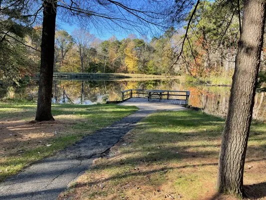 martin-state-forest-campground-mitchell-dlhhp