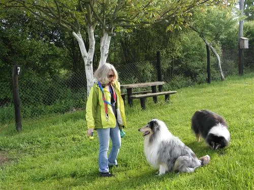 camping-radonja-karlovac-3zdi8