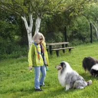 camping-radonja-karlovac-3zdi8