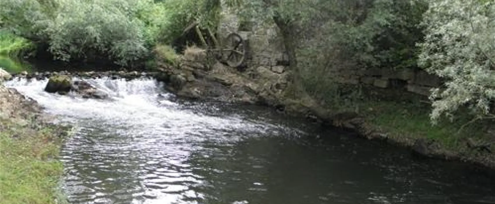 Camping Radonja