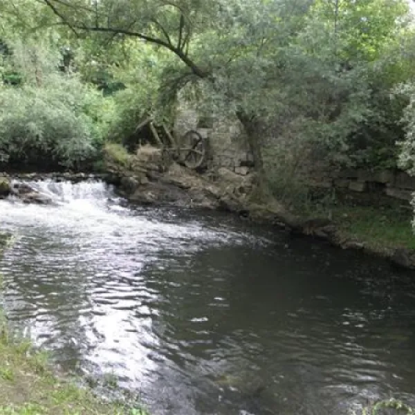 camping-radonja-karlovac-5ggxk