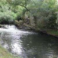 camping-radonja-karlovac-5ggxk