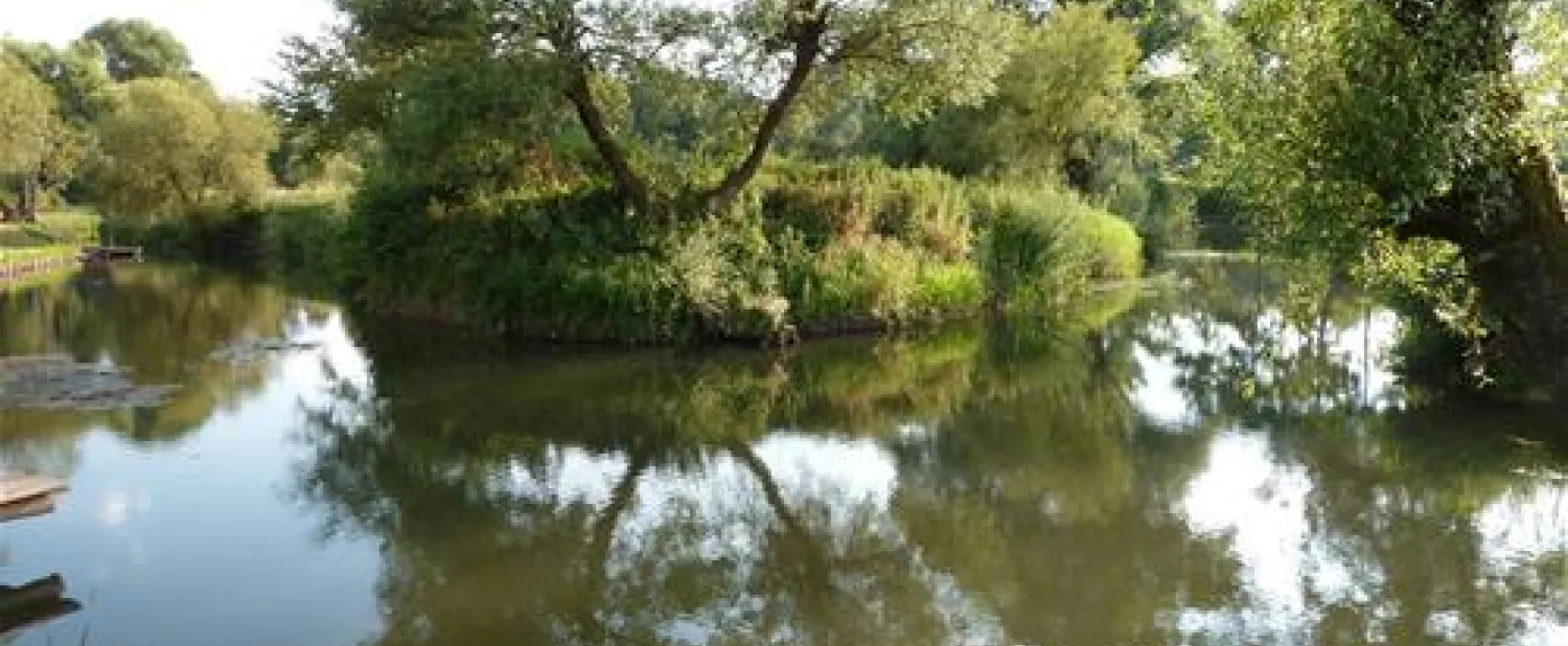Camping Radonja