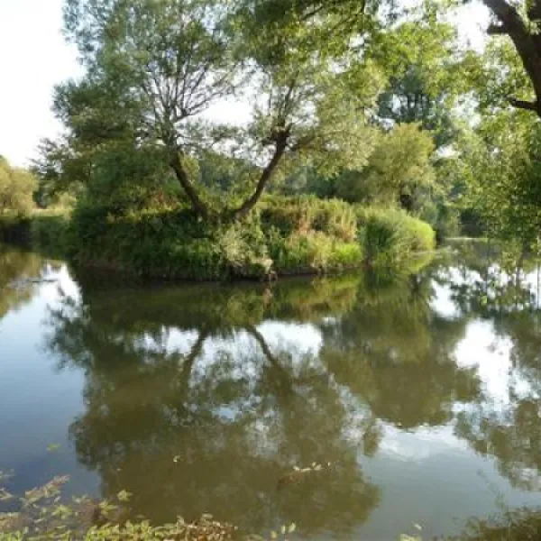 camping-radonja-karlovac-iryju