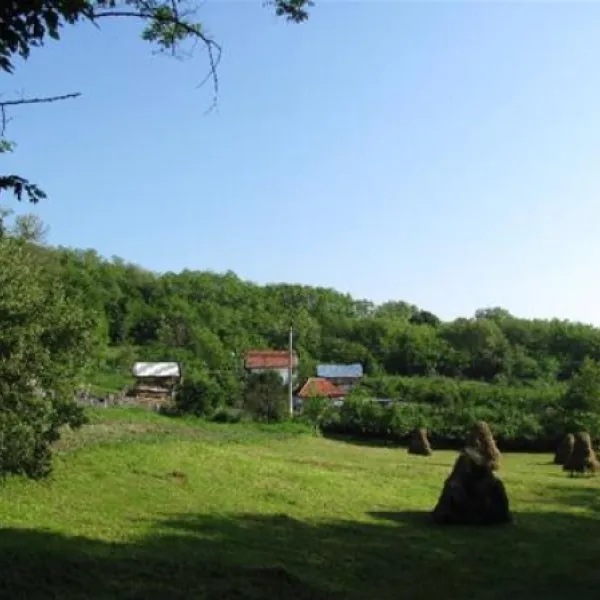 camping-dragoske-burlusiciofringeni-1fitr