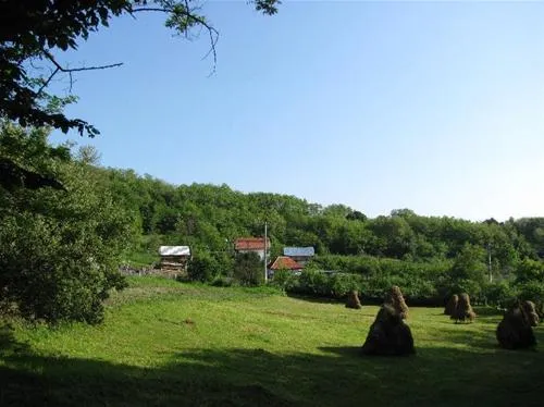 camping-dragoske-burlusiciofringeni-mp2w8