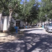 Central Camping
