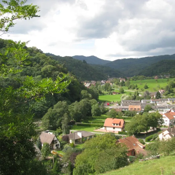 camping-du-hautkoenigsbourg-liepvre-2hznj