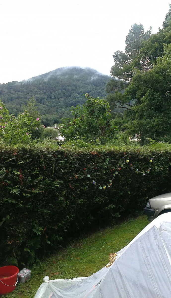 camping-du-hautkoenigsbourg-liepvre-rzmo5