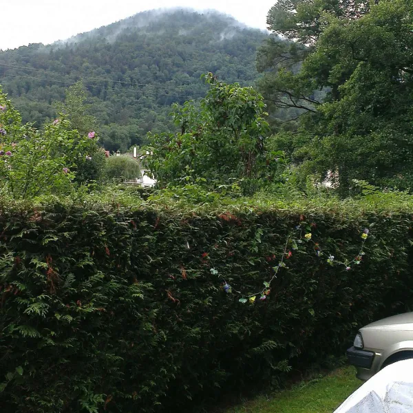 camping-du-hautkoenigsbourg-liepvre-rzmo5