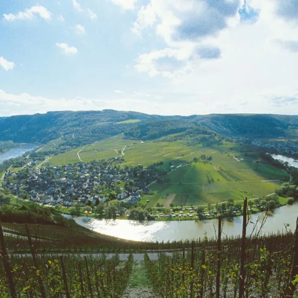 Mosel-Camping Rissbach
