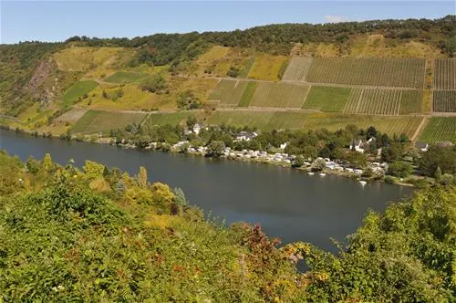 moselcamping-rissbach-trabentrarbach-8c75p