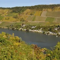 moselcamping-rissbach-trabentrarbach-8c75p