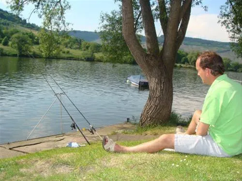 moselcamping-rissbach-trabentrarbach-pmmmm