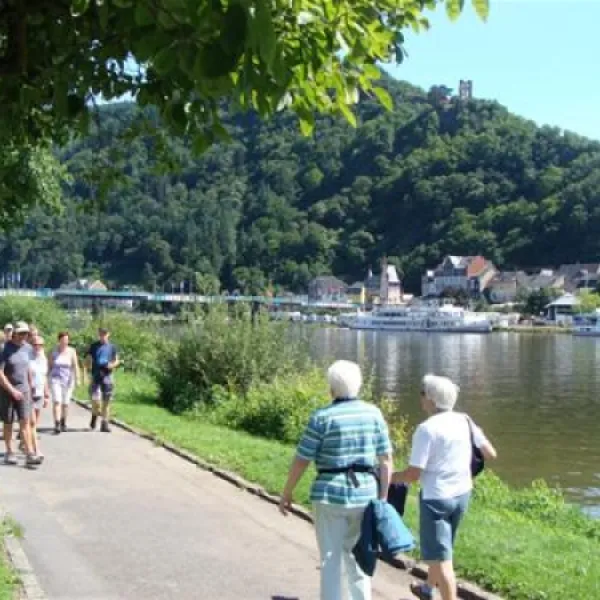 moselcamping-rissbach-trabentrarbach-slown