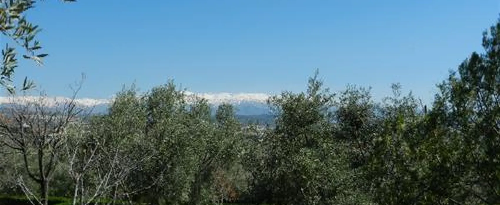 Camping Granada