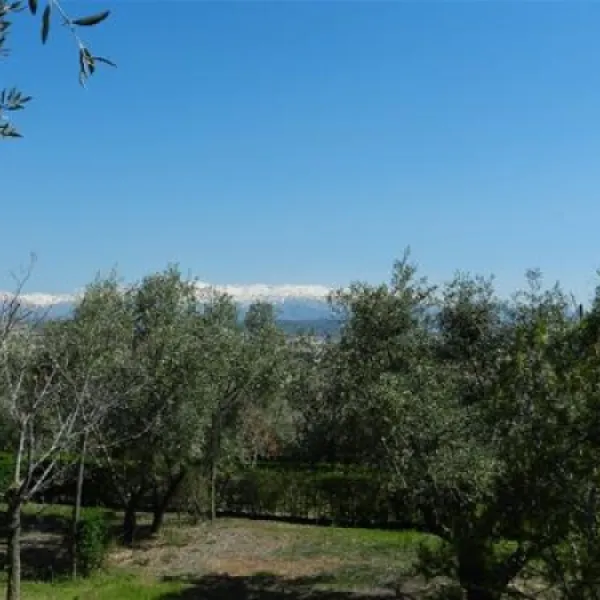 camping-granada-peligros-iqcdf