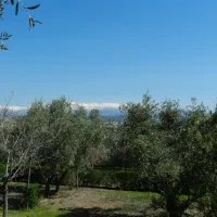 camping-granada-peligros-iqcdf