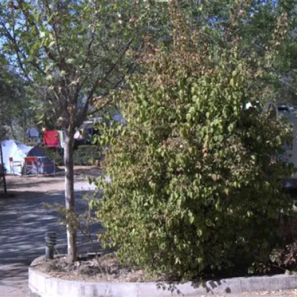 camping-granada-peligros-kduhy