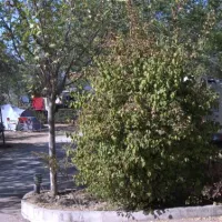 camping-granada-peligros-kduhy