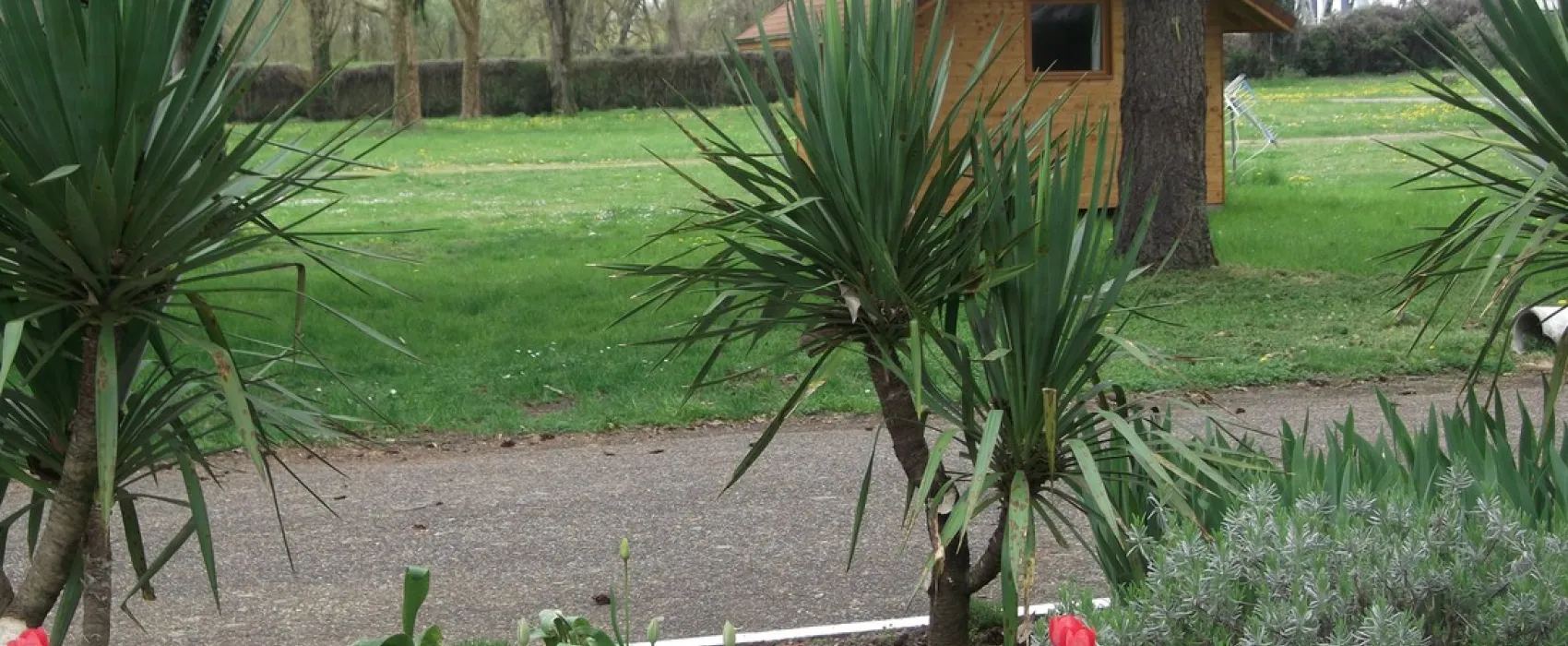 Camping de la Loire