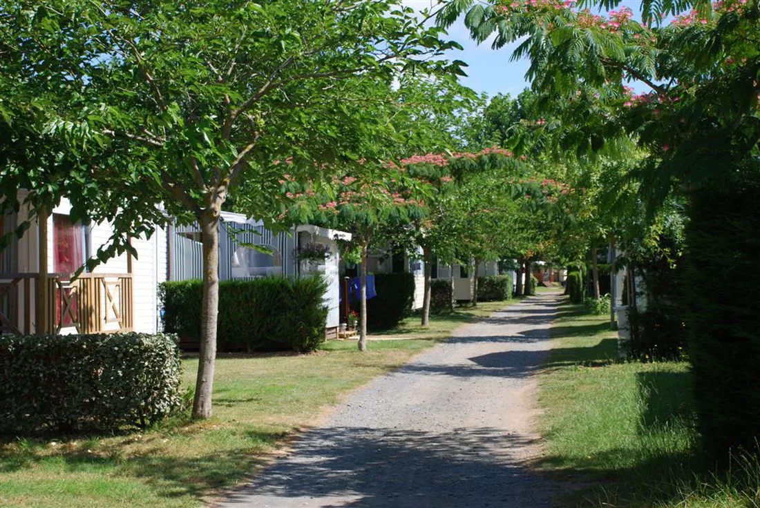 camping-la-borderie-saint-palais-sur-mer-6ft31