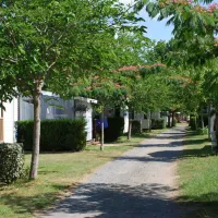 camping-la-borderie-saint-palais-sur-mer-6ft31